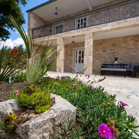 Tia - Private Oasis With Large Pool Villa Gornje Ceranje